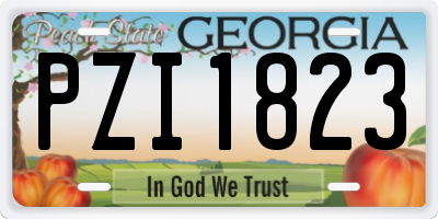 GA license plate PZI1823