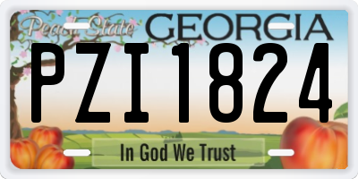 GA license plate PZI1824
