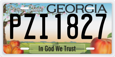 GA license plate PZI1827