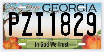 GA license plate PZI1829