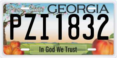 GA license plate PZI1832