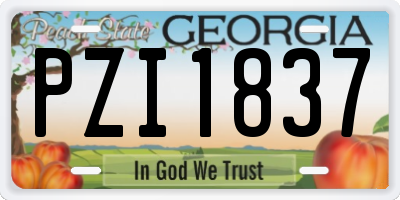 GA license plate PZI1837