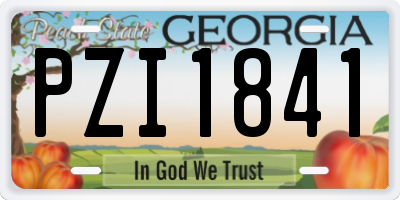 GA license plate PZI1841