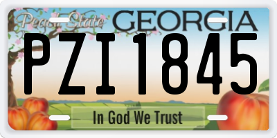 GA license plate PZI1845