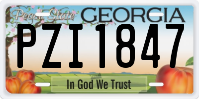 GA license plate PZI1847