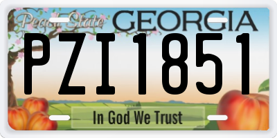 GA license plate PZI1851
