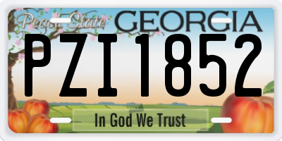 GA license plate PZI1852