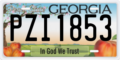 GA license plate PZI1853
