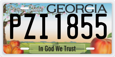 GA license plate PZI1855