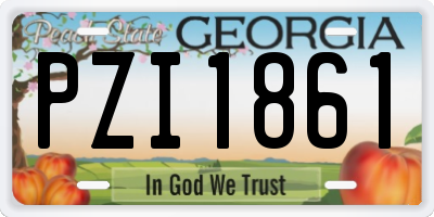 GA license plate PZI1861