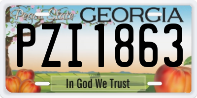 GA license plate PZI1863