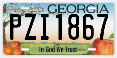 GA license plate PZI1867