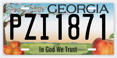 GA license plate PZI1871
