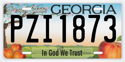 GA license plate PZI1873