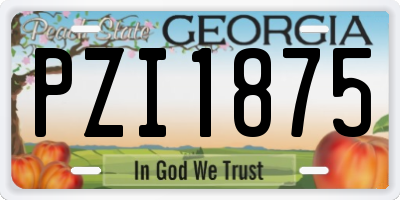 GA license plate PZI1875