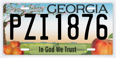 GA license plate PZI1876