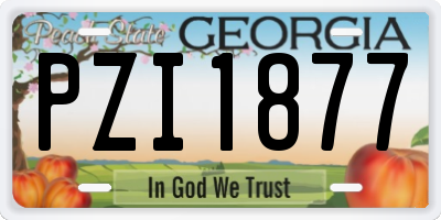 GA license plate PZI1877