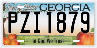 GA license plate PZI1879