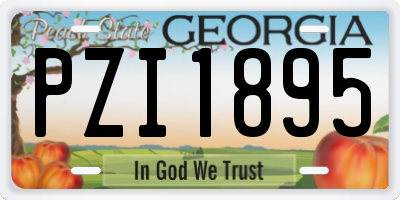GA license plate PZI1895