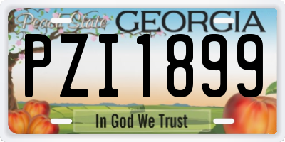 GA license plate PZI1899