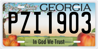 GA license plate PZI1903
