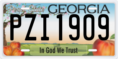 GA license plate PZI1909