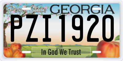 GA license plate PZI1920