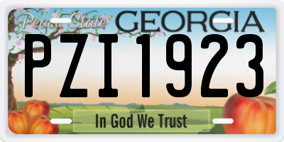 GA license plate PZI1923