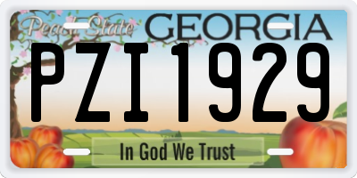 GA license plate PZI1929