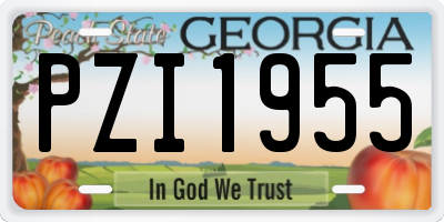 GA license plate PZI1955