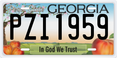 GA license plate PZI1959