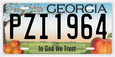 GA license plate PZI1964