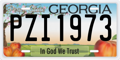 GA license plate PZI1973