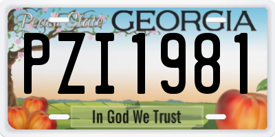 GA license plate PZI1981