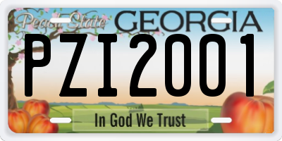 GA license plate PZI2001