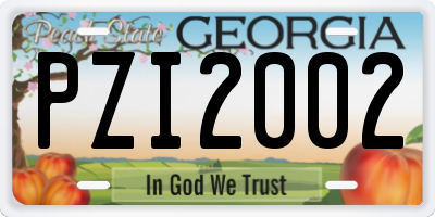 GA license plate PZI2002