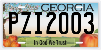 GA license plate PZI2003