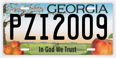 GA license plate PZI2009
