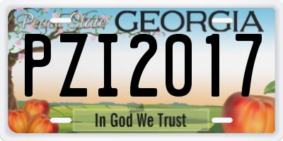 GA license plate PZI2017