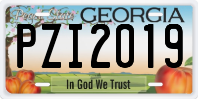 GA license plate PZI2019