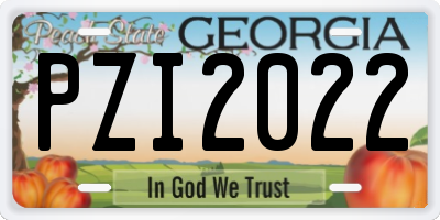 GA license plate PZI2022