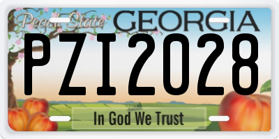 GA license plate PZI2028
