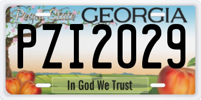 GA license plate PZI2029