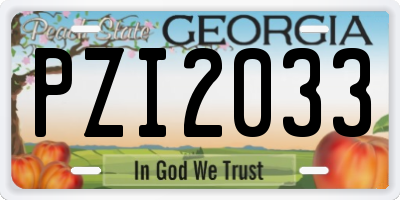 GA license plate PZI2033