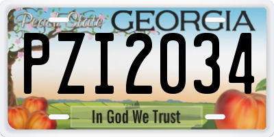 GA license plate PZI2034