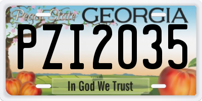 GA license plate PZI2035