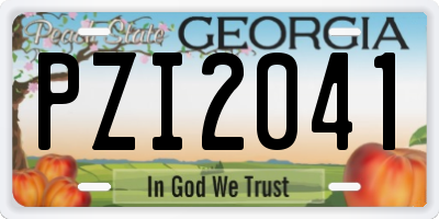 GA license plate PZI2041