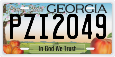 GA license plate PZI2049