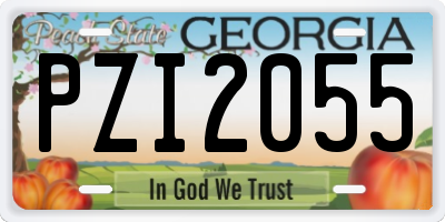 GA license plate PZI2055