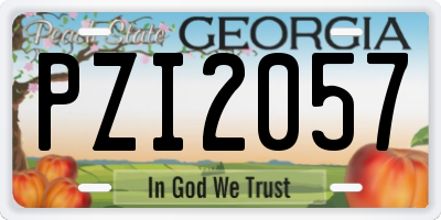 GA license plate PZI2057